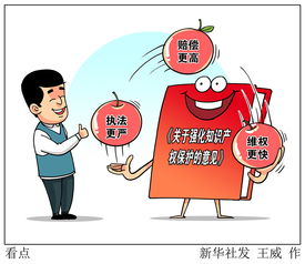 解讀強(qiáng)化知識(shí)產(chǎn)權(quán)保護(hù)意見的三大核心看點(diǎn)——聚焦知識(shí)產(chǎn)權(quán)服務(wù)升級(jí)